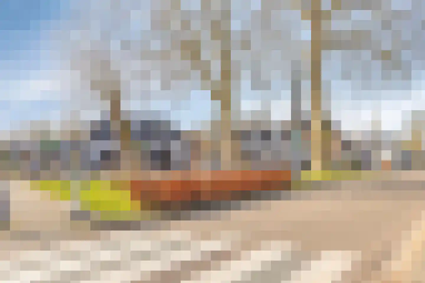Looiersplantsoen 3 Diepenheim thumbnail 32