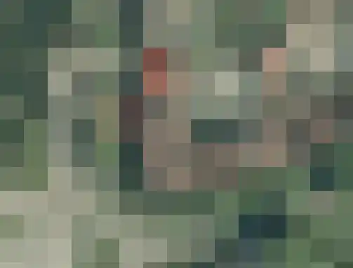 Looiersplantsoen 3 Diepenheim thumbnail 33