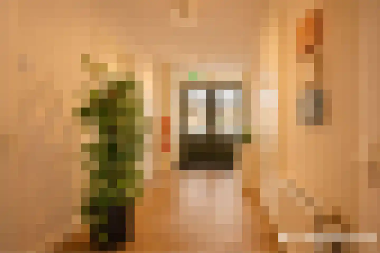 Looiersplantsoen 3 Diepenheim thumbnail 5