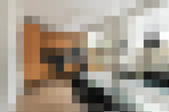 Looiersplantsoen 9 Diepenheim thumbnail 11