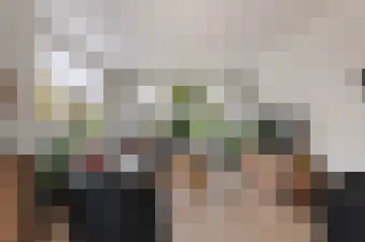Looiersplantsoen 9 Diepenheim thumbnail 15