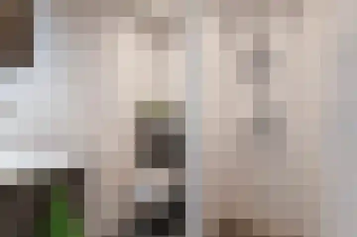 Looiersplantsoen 9 Diepenheim thumbnail 17