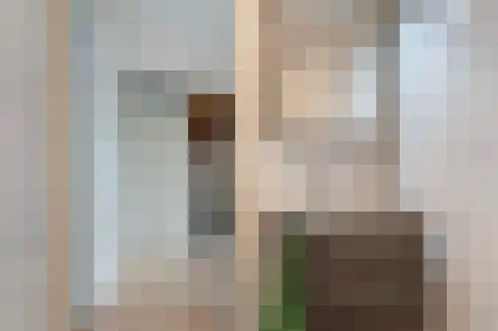 Looiersplantsoen 9 Diepenheim thumbnail 18
