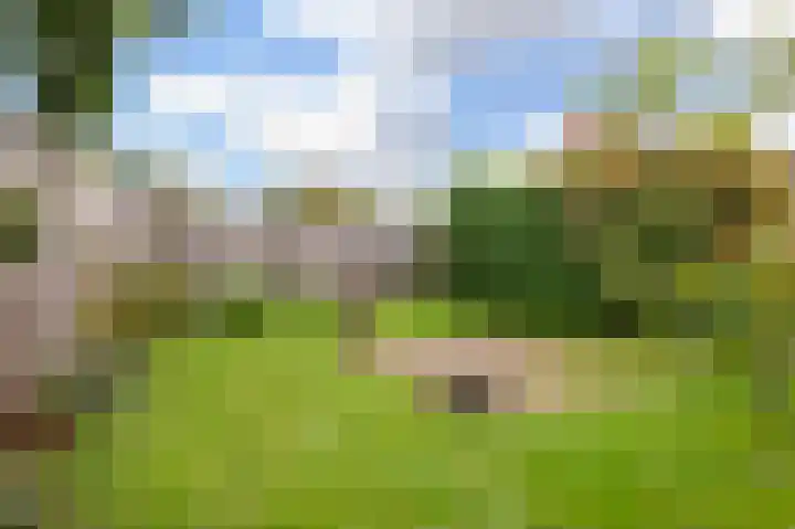 Looiersplantsoen 9 Diepenheim thumbnail 26