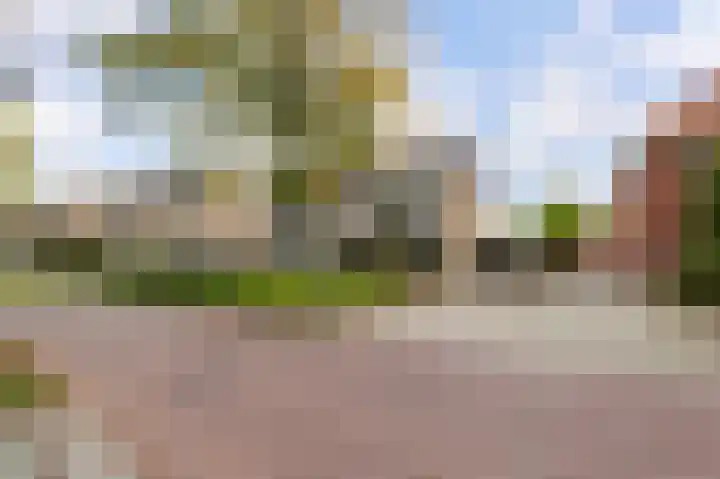 Looiersplantsoen 9 Diepenheim thumbnail 28