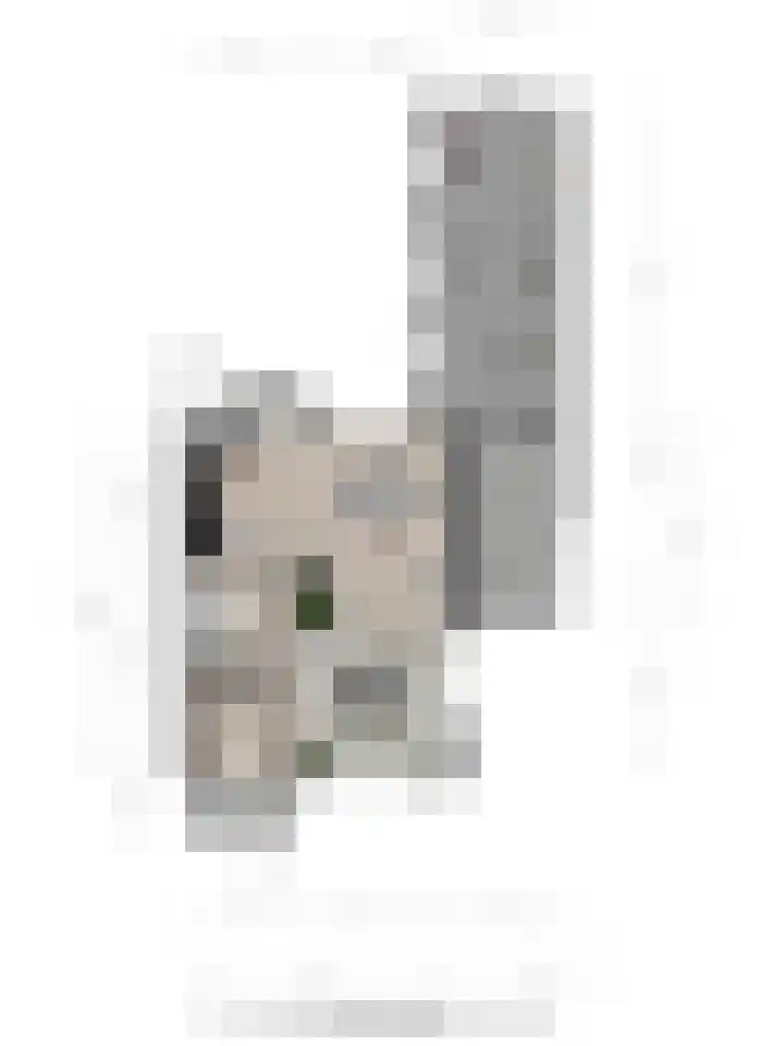 Looiersplantsoen 9 Diepenheim thumbnail 30