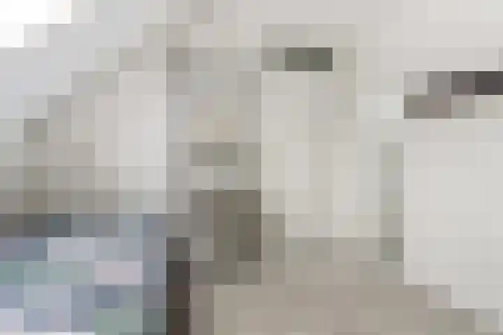 Looiersplein 6 Dongen thumbnail 20