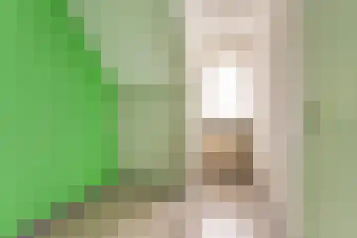 Looiersplein 6 Dongen thumbnail 21