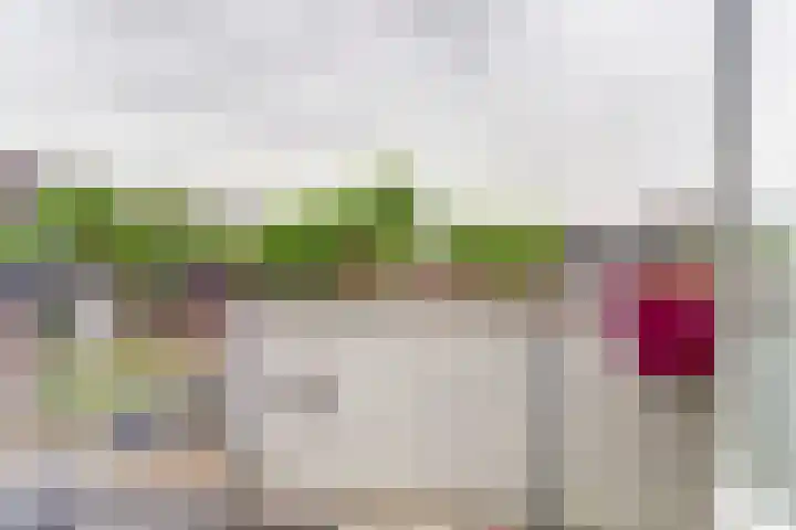 Looiersplein 6 Dongen thumbnail 27