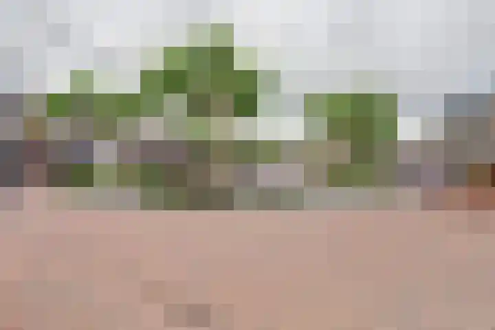Looiersplein 6 Dongen thumbnail 31