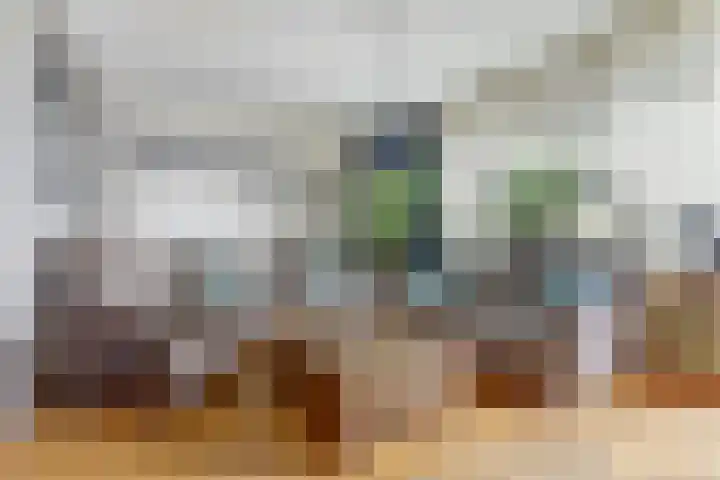 Looiersplein 6 Dongen thumbnail 9
