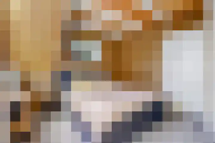 Looierspoort 11 Gouda thumbnail 14