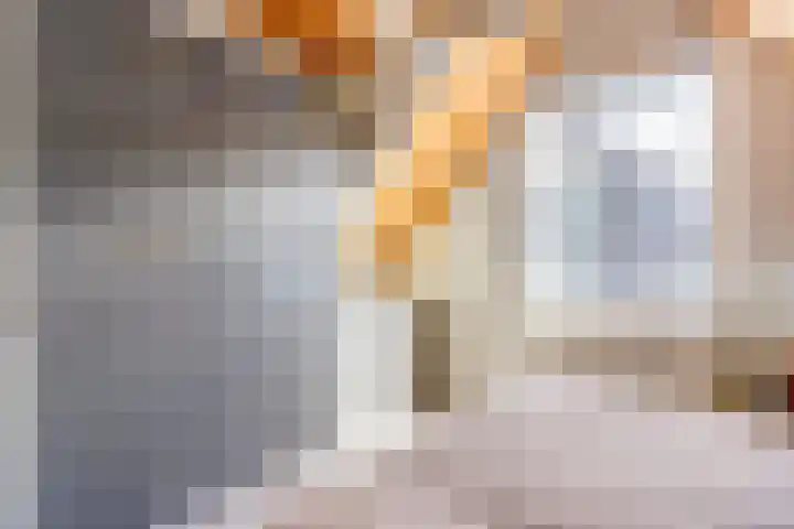 Looierspoort 11 Gouda thumbnail 15
