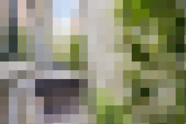 Looierspoort 11 Gouda thumbnail 19