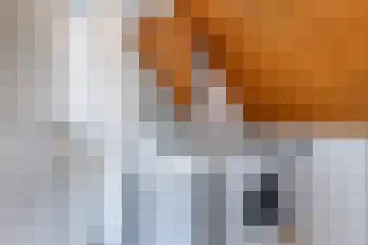 Looierspoort 13 Gouda thumbnail 25