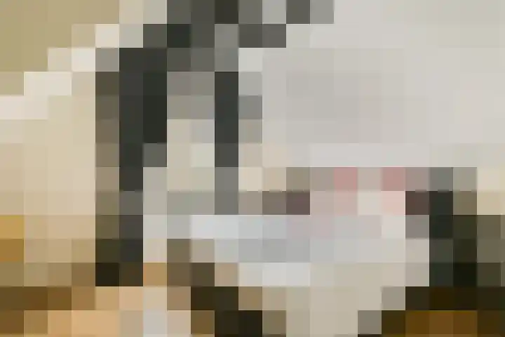 Looierspoort 3 Gouda thumbnail 12