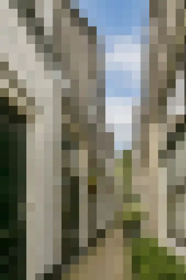 Looierspoort 3 Gouda thumbnail 16