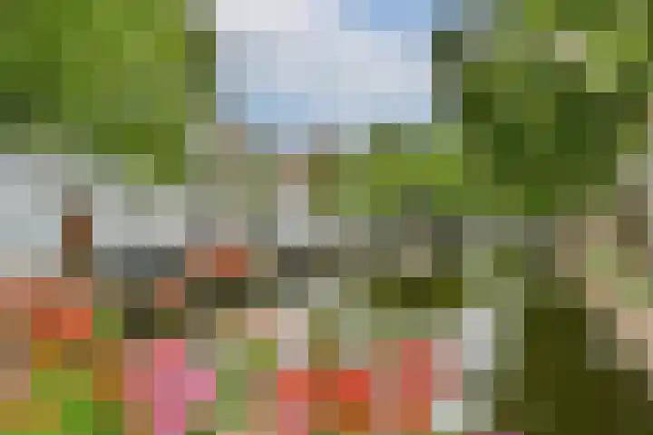 Looierspoort 3 Gouda thumbnail 17