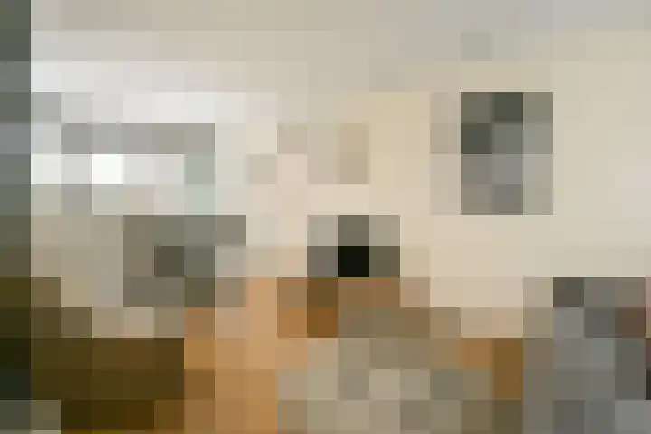 Looierspoort 3 Gouda thumbnail 7