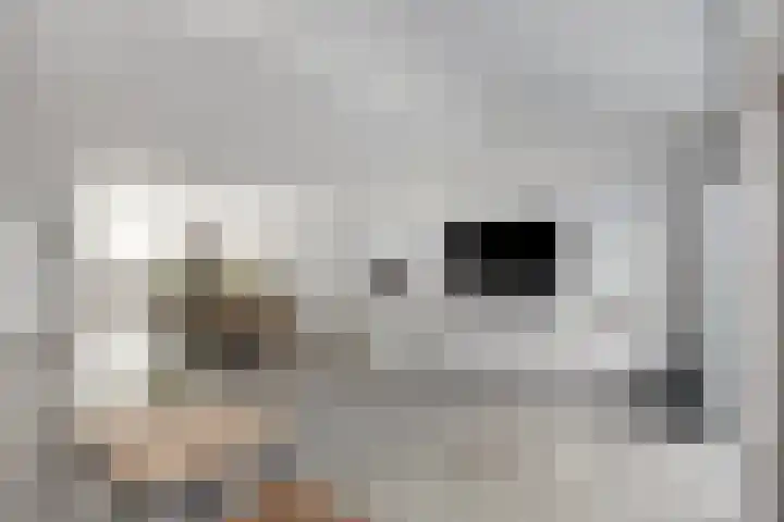 Looierstraat 10 Alkmaar thumbnail 17
