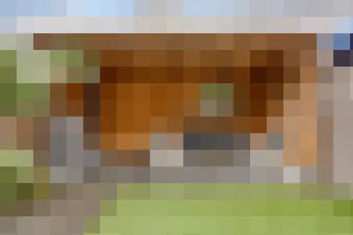 Looierstraat 10 Alkmaar thumbnail 23