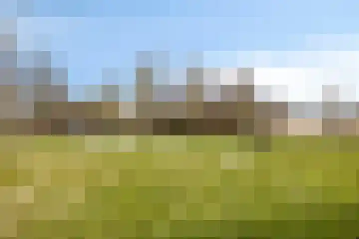 Looierstraat 10 Alkmaar thumbnail 46