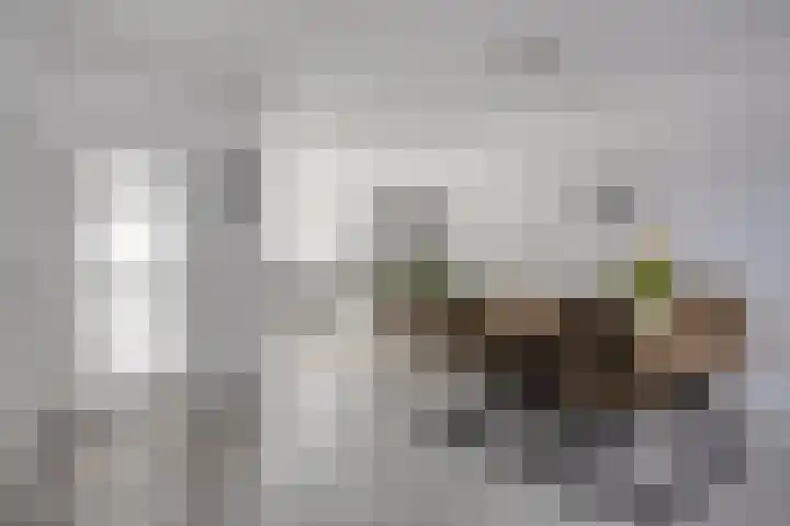 Looierstraat 10 Alkmaar thumbnail 9