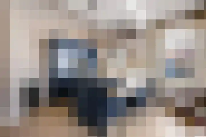 Looierstraat 11 Velp thumbnail 10