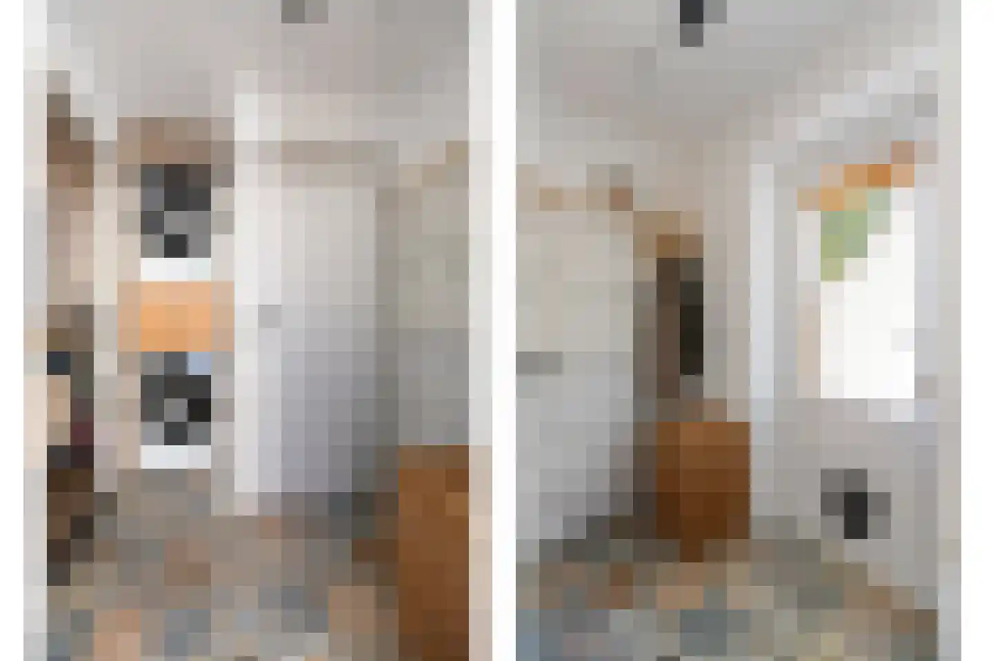 Looierstraat 11 Velp thumbnail 15