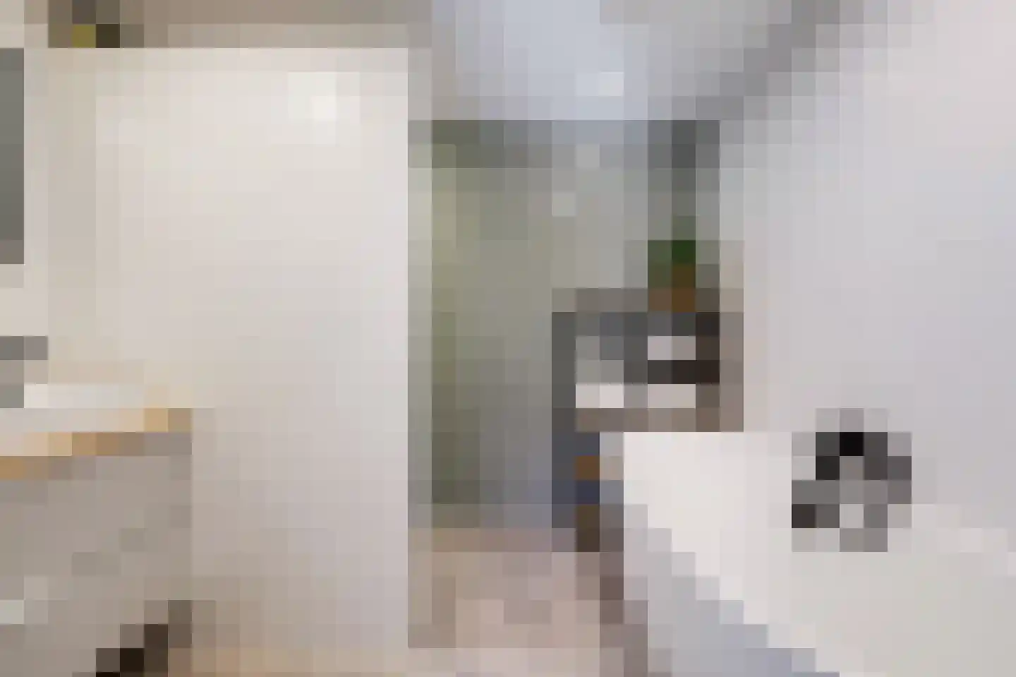 Looierstraat 11 Velp thumbnail 22