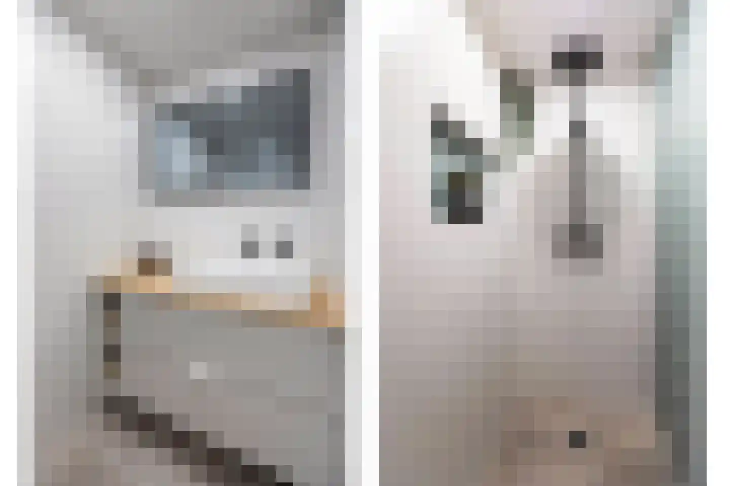 Looierstraat 11 Velp thumbnail 23
