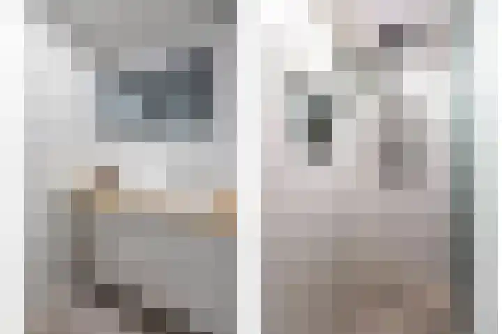 Looierstraat 11 Velp thumbnail 23