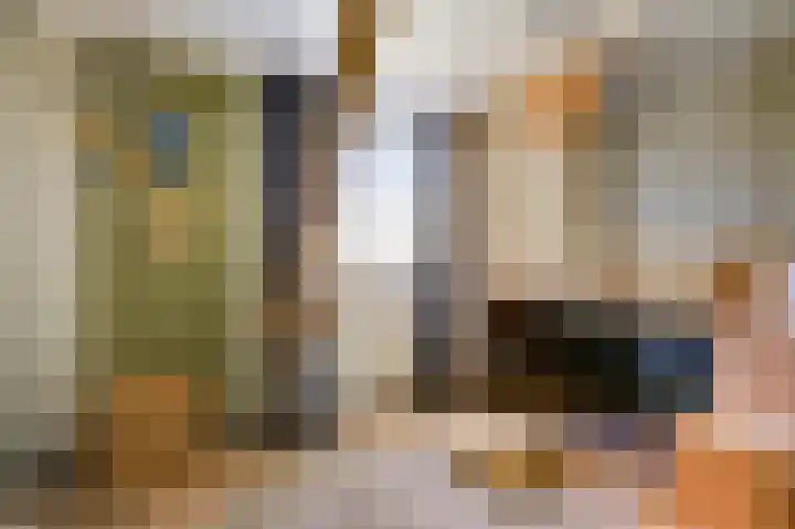 Looierstraat 11 Velp thumbnail 24