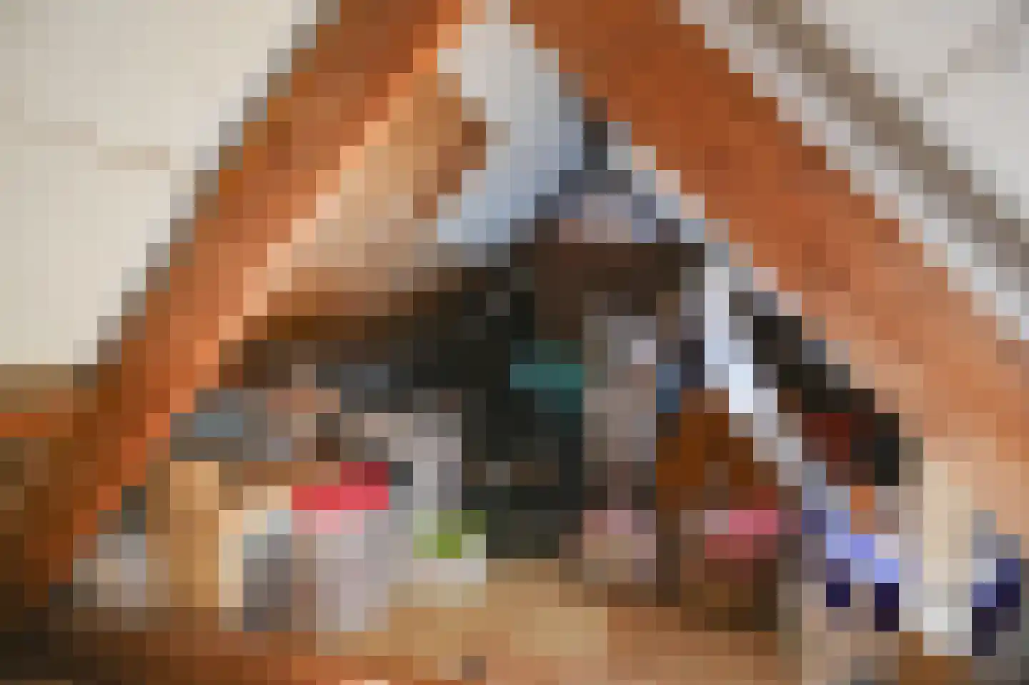 Looierstraat 11 Velp thumbnail 25