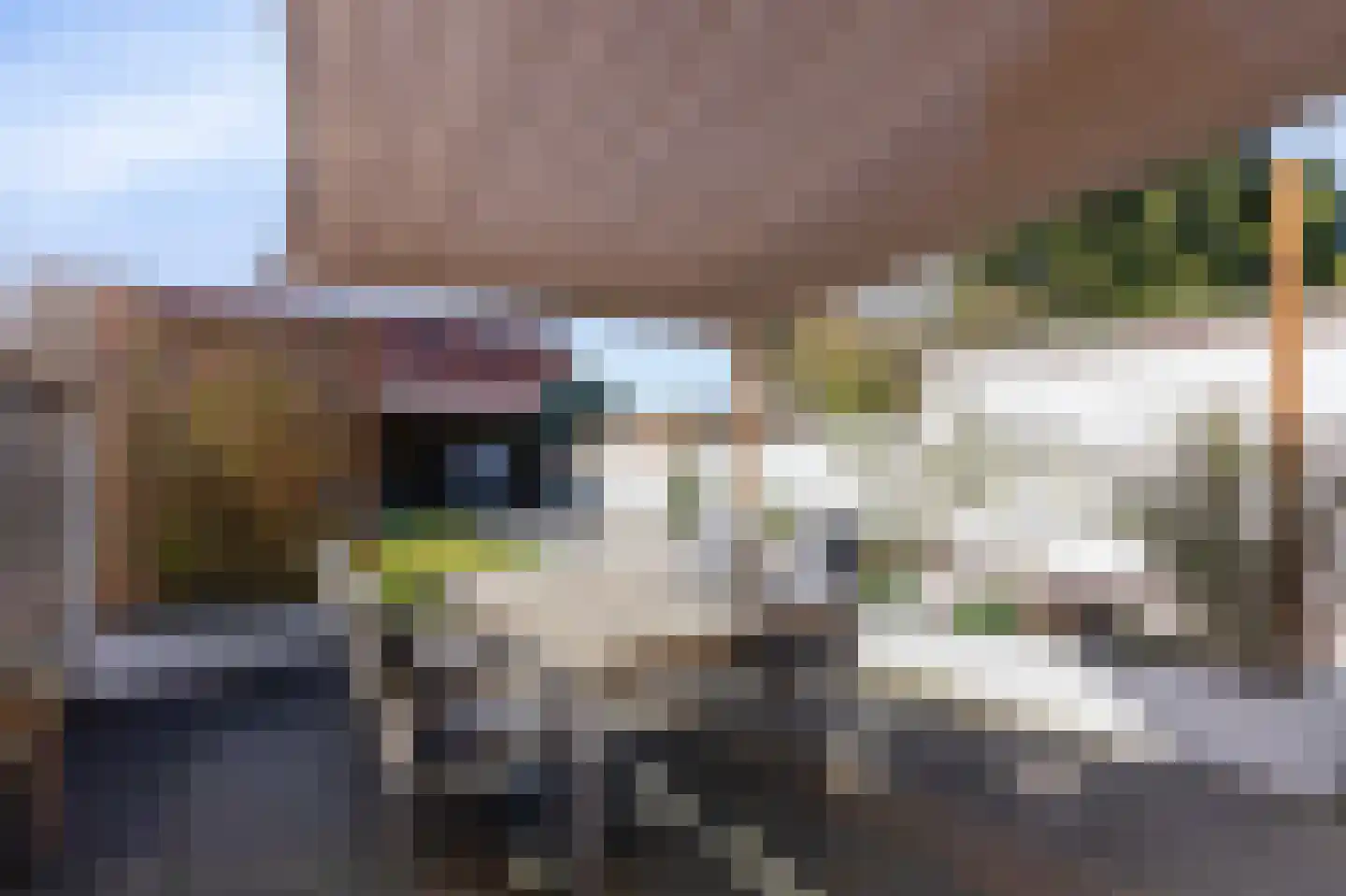 Looierstraat 11 Velp thumbnail 29