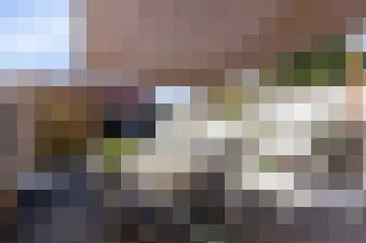Looierstraat 11 Velp thumbnail 29