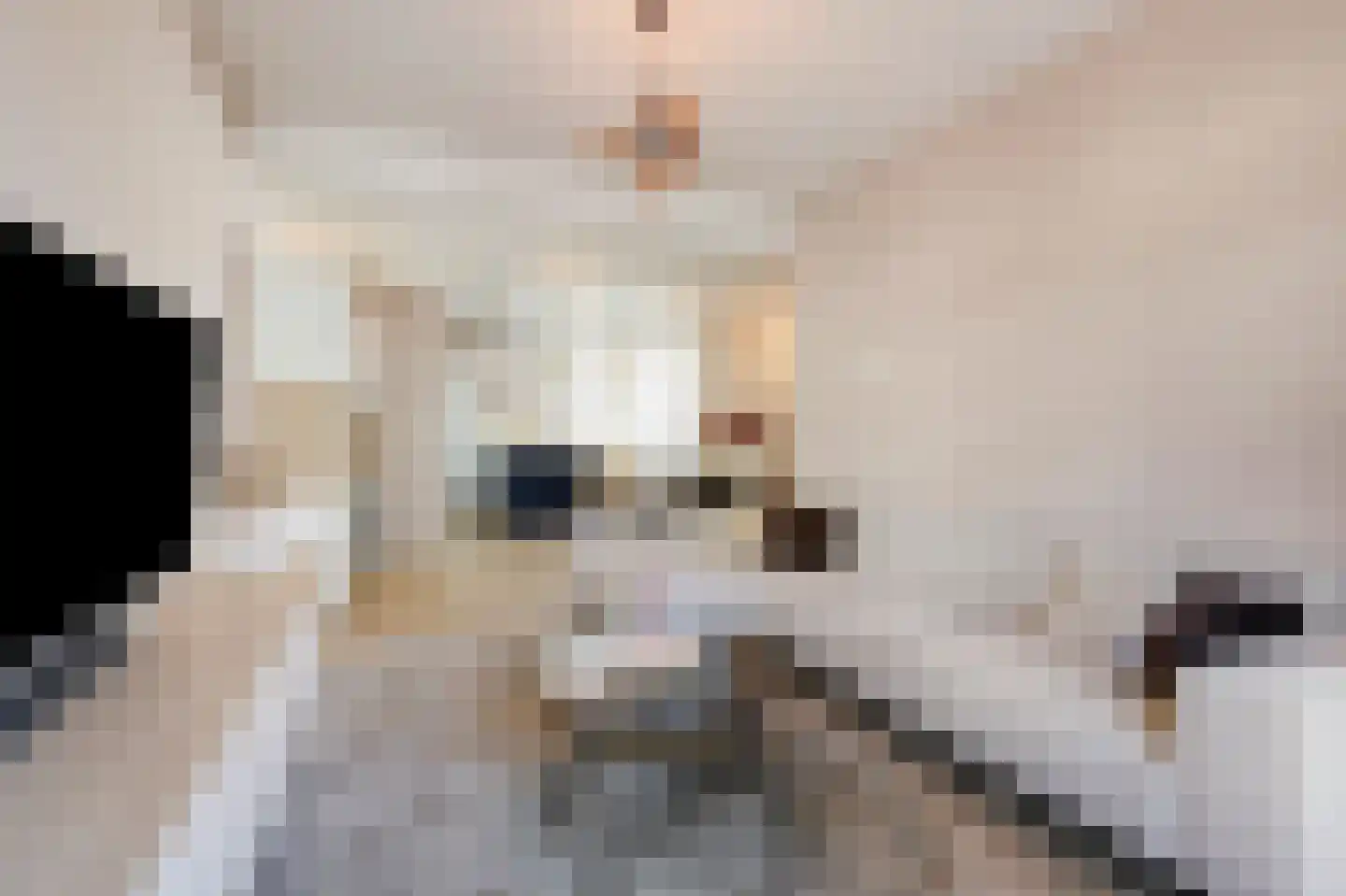 Looierstraat 11 Velp thumbnail 7