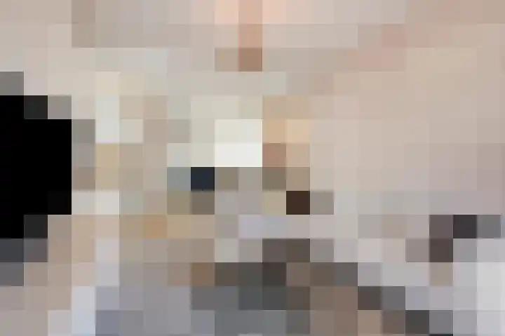 Looierstraat 11 Velp thumbnail 7