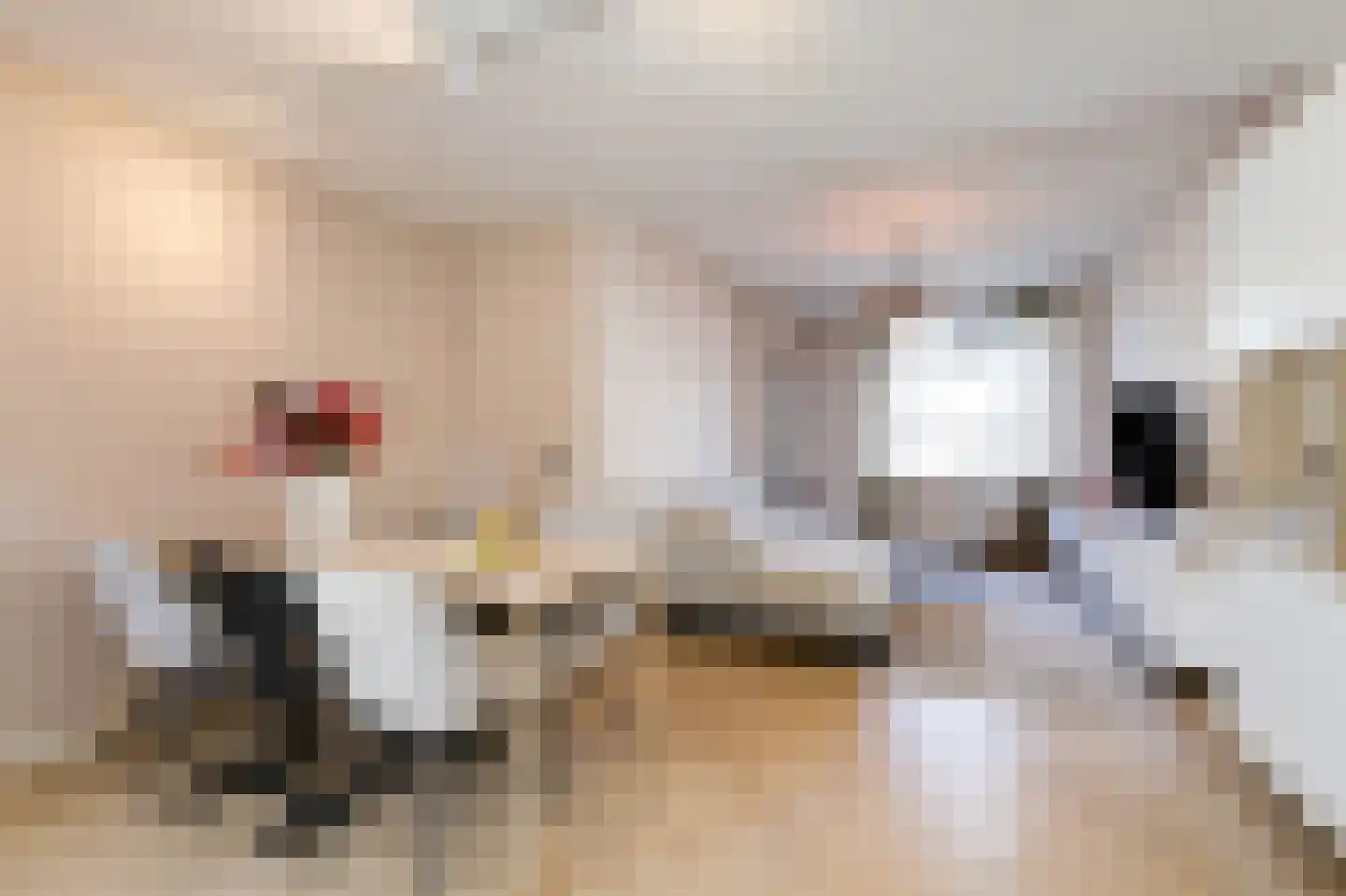 Looierstraat 11 Velp thumbnail 8
