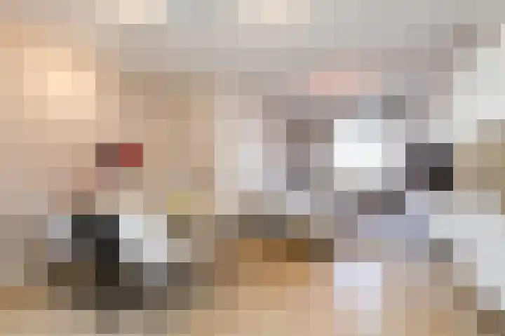 Looierstraat 11 Velp thumbnail 8