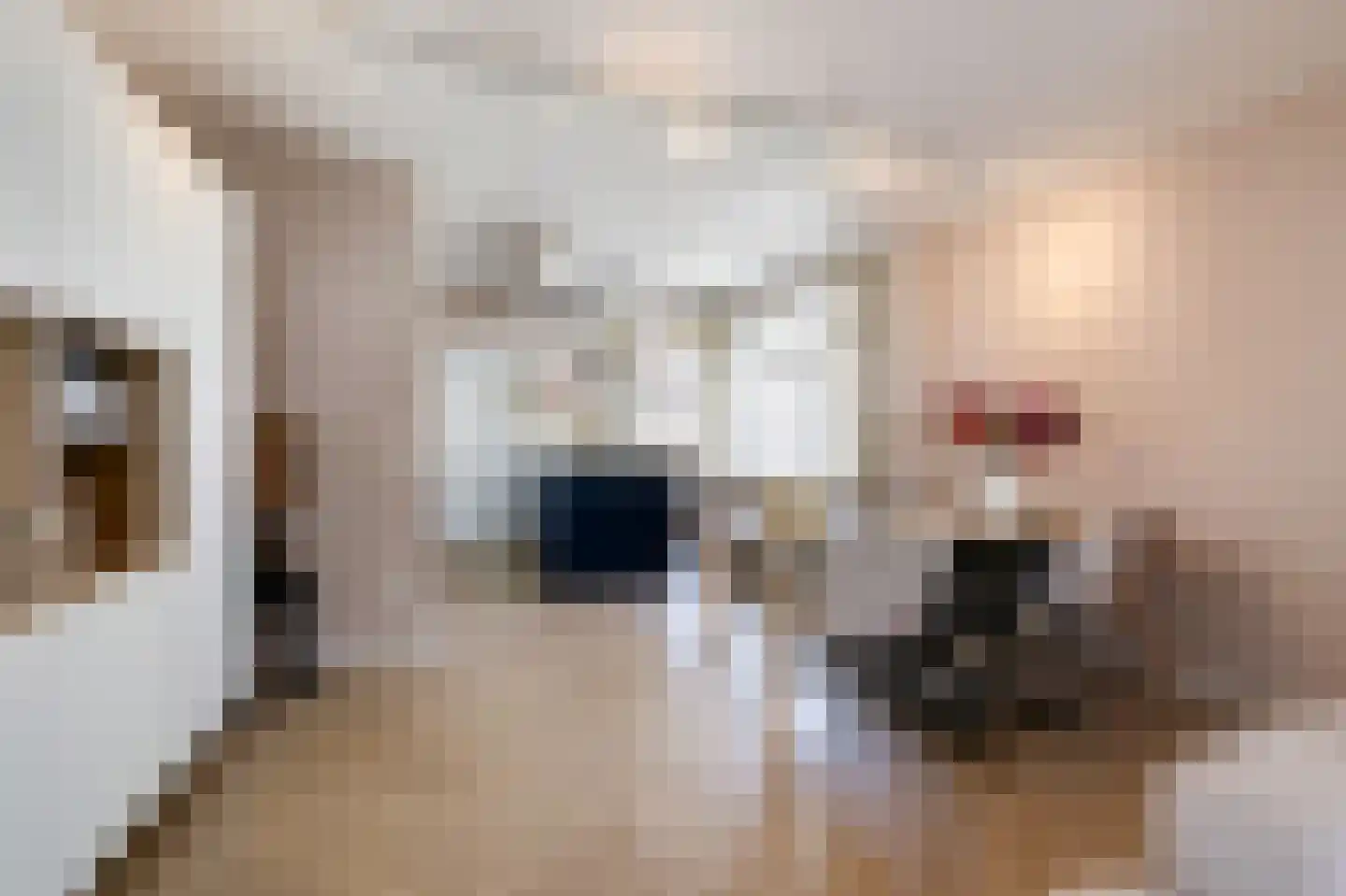 Looierstraat 11 Velp thumbnail 9