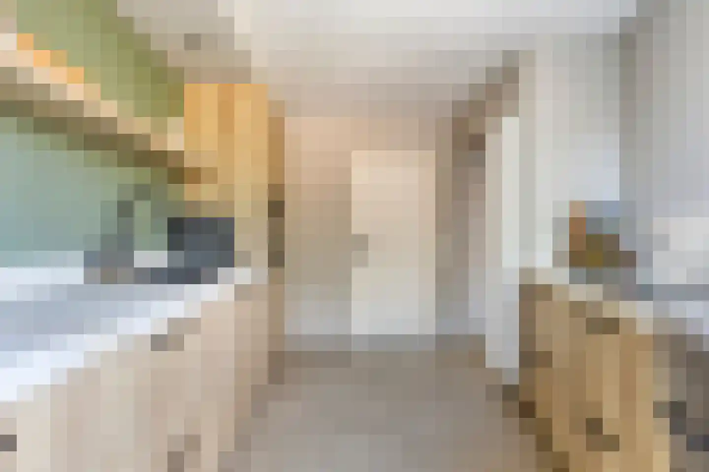 Looierstraat 18 Baarlo thumbnail 18