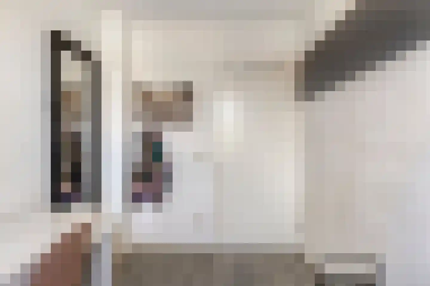 Looierstraat 18 Baarlo thumbnail 27