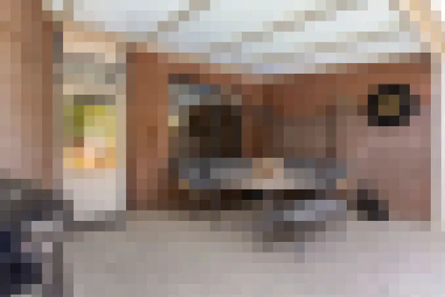 Looierstraat 18 Baarlo thumbnail 30