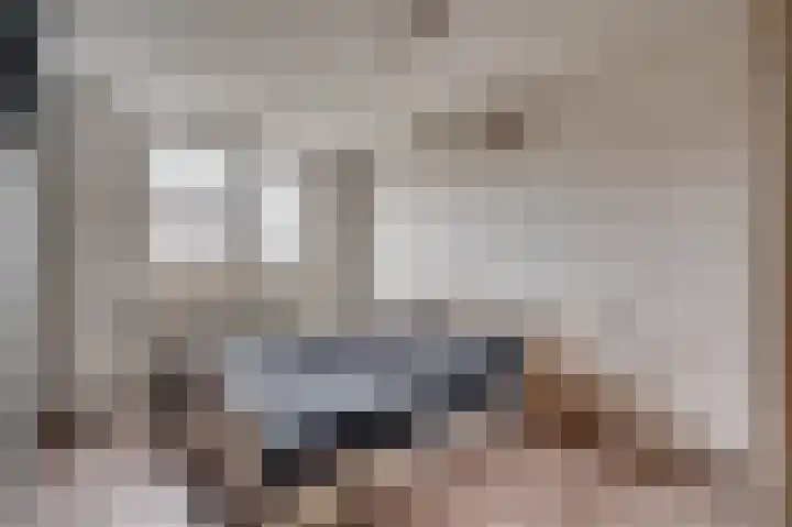 Looierstraat 20 Baarlo thumbnail 24