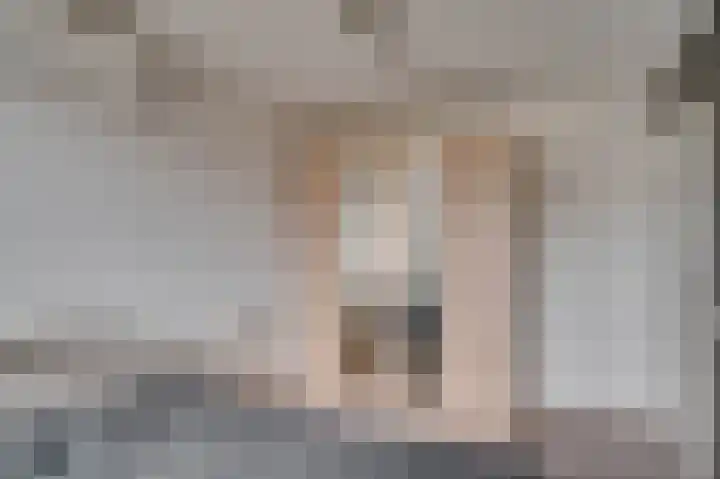 Looierstraat 20 Baarlo thumbnail 25