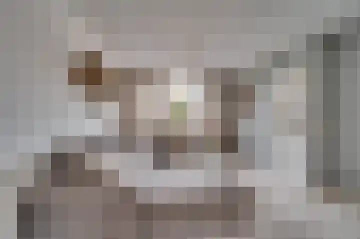 Looierstraat 20 Baarlo thumbnail 6