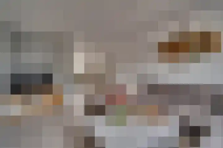 Looierstraat 20 Baarlo thumbnail 9