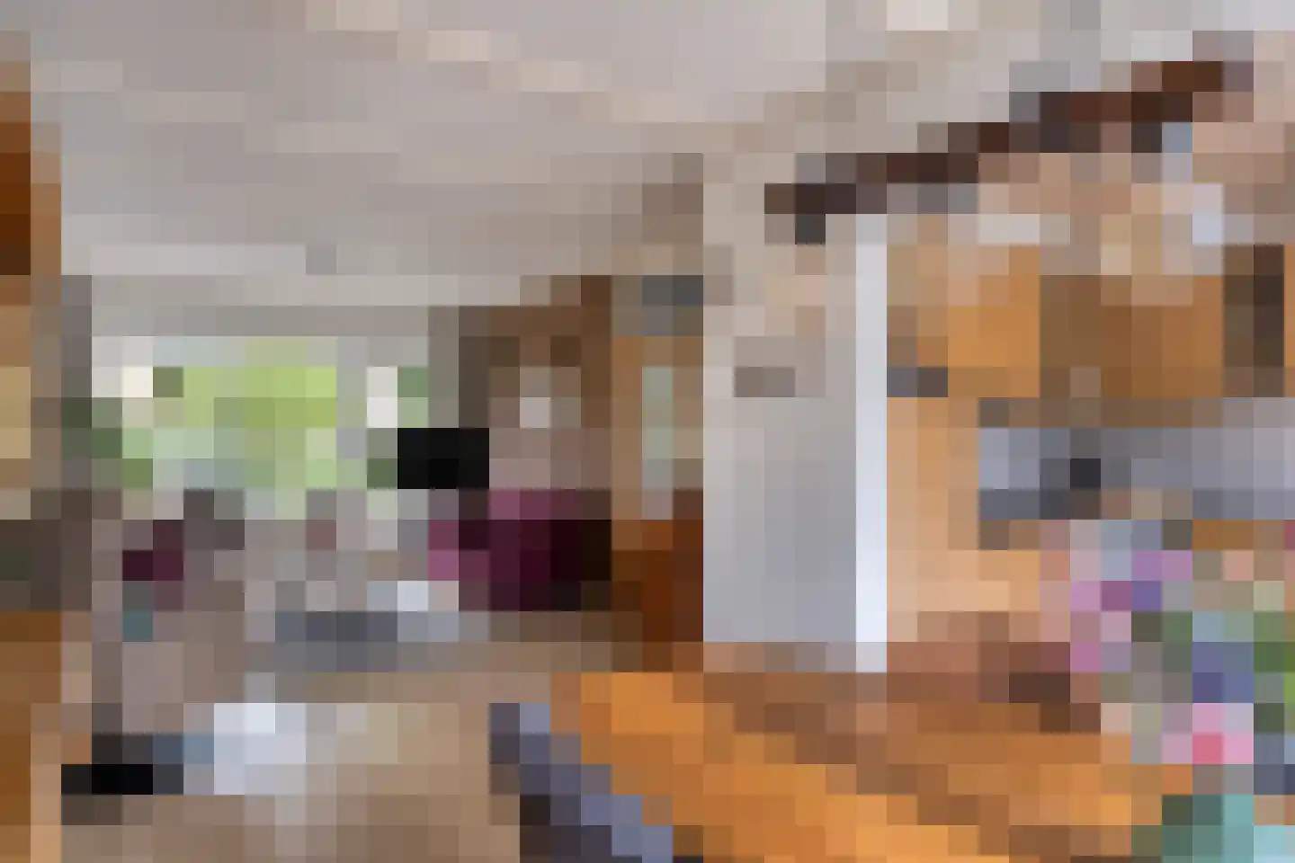 Looierstraat 21 Duiven thumbnail 10