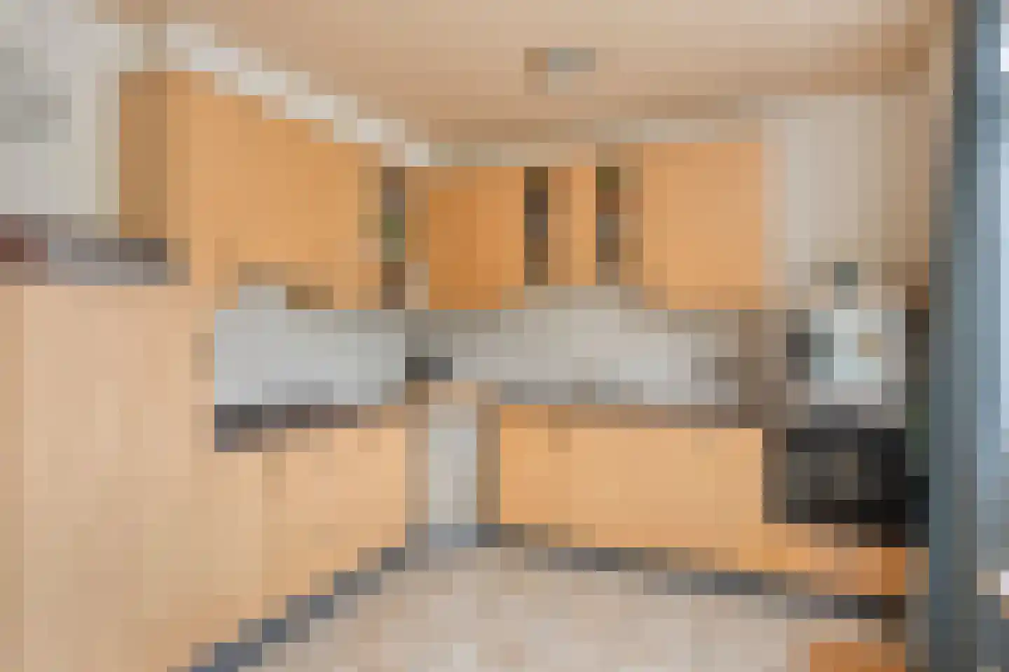 Looierstraat 21 Duiven thumbnail 11